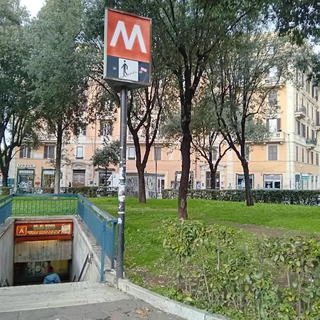 Couette-café Palace King Of